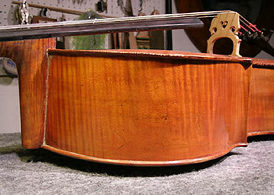 Repaired Cello Rib